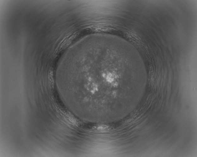 X0000056380506200509091719