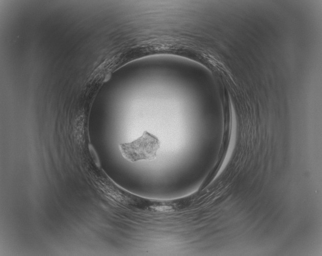 X0000056380509200509091718