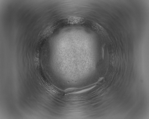 X0000056380510200509091718