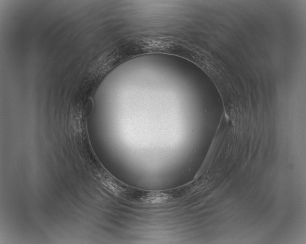 X0000056380514200509091718