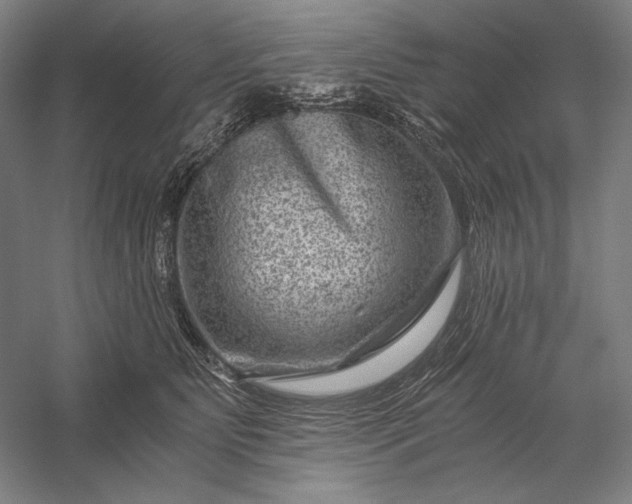 X0000056380515200509091718