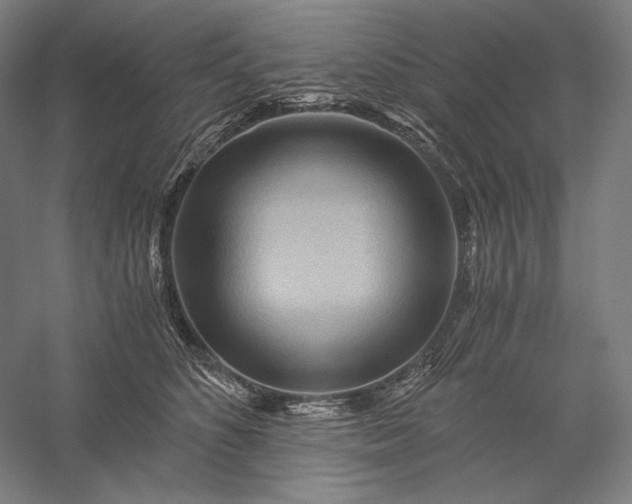 X0000056380516200509091718