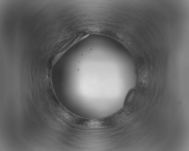 X0000056380518200509091718