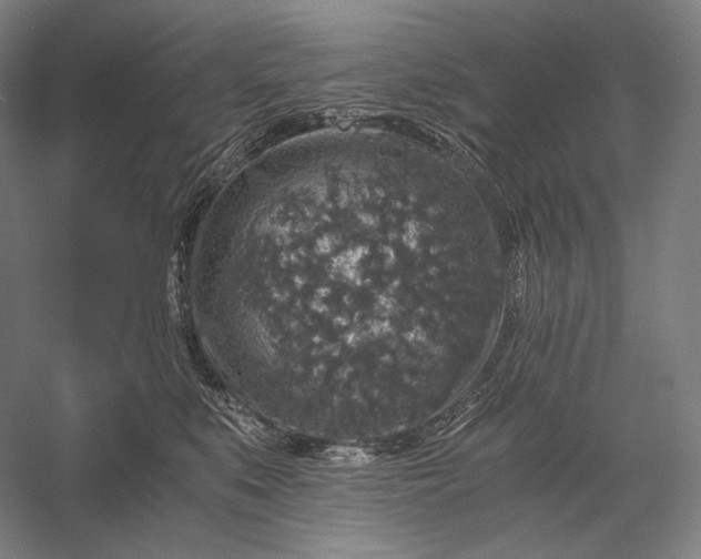 X0000056380519200509091718