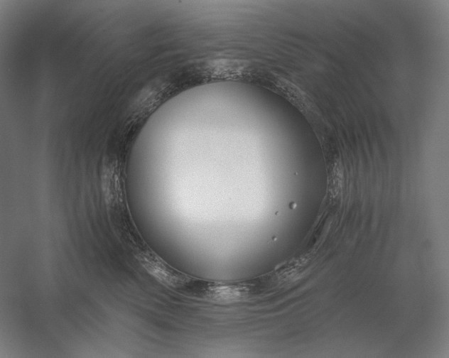 X0000056380522200509091718