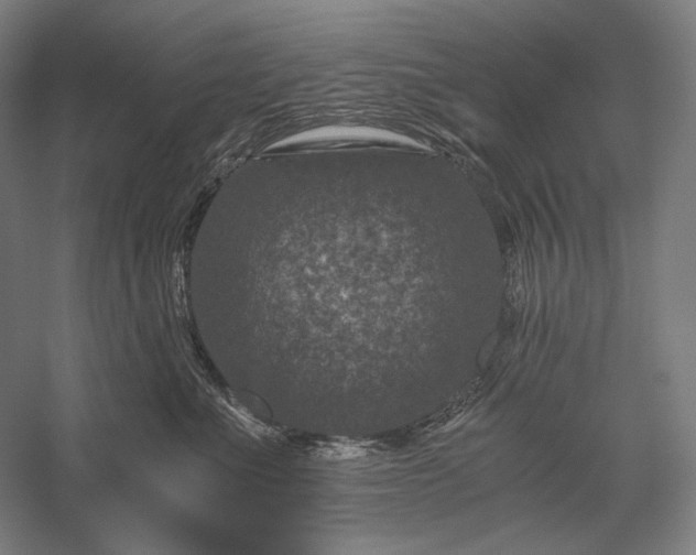 X0000056380523200509091718