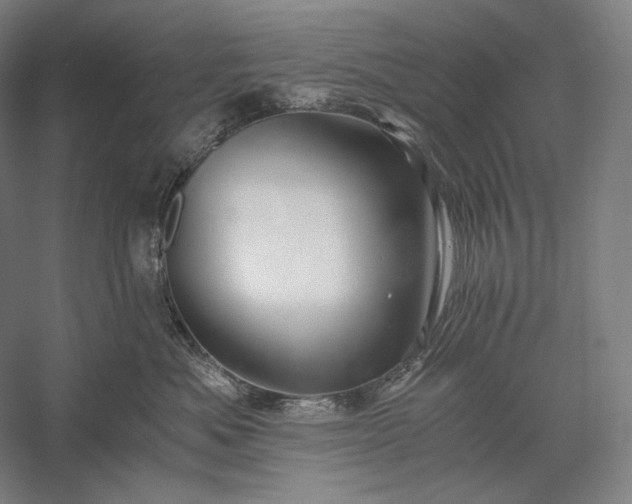 X0000056380525200509091718