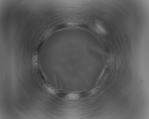 X0000056380526200509091718