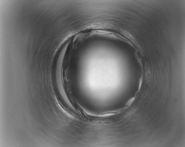 X0000056380530200509091717