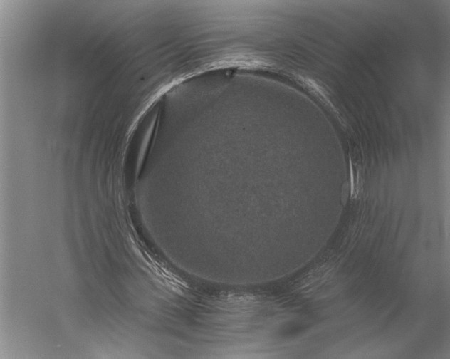 X0000056380531200509091717