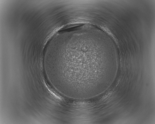 X0000056380533200509091717