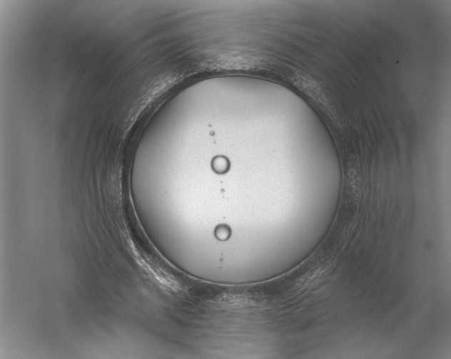 X0000056380534200509091717