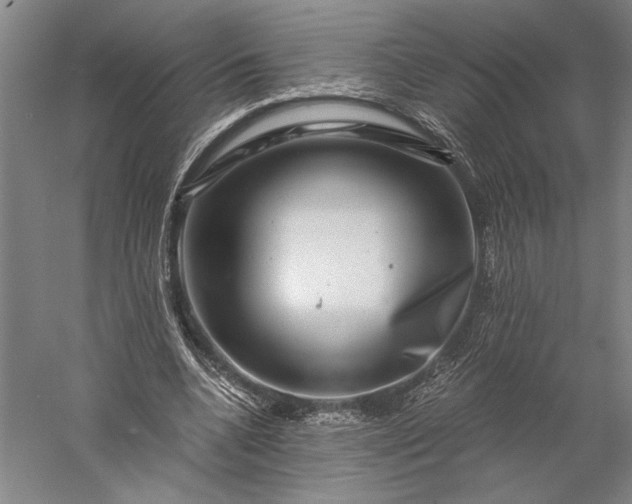 X0000056380536200509091717