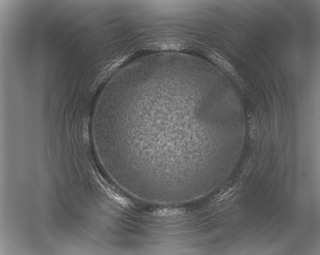 X0000056380537200509091717