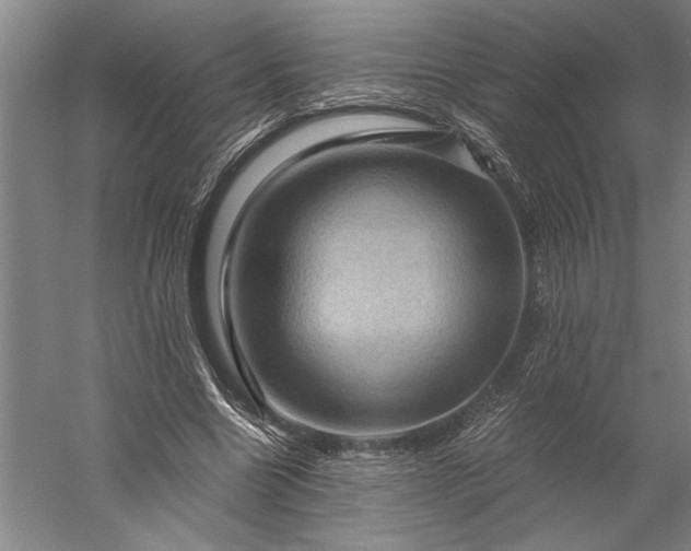 X0000056380538200509091717