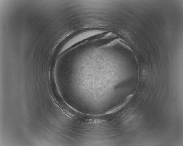 X0000056380539200509091718