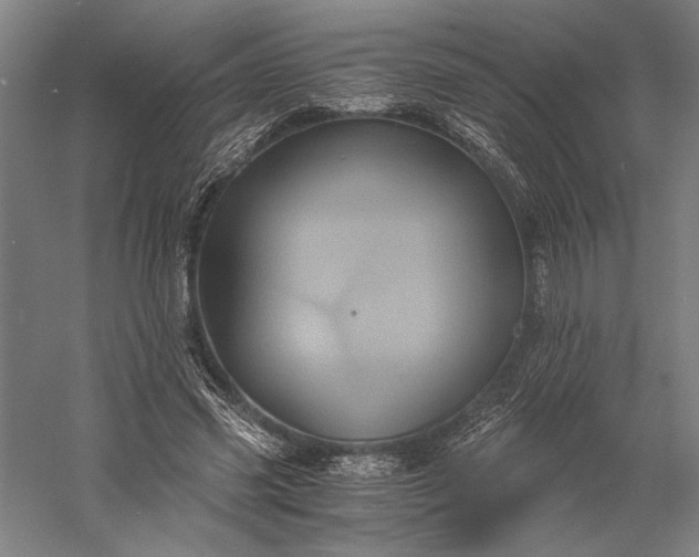 X0000056380541200509091718