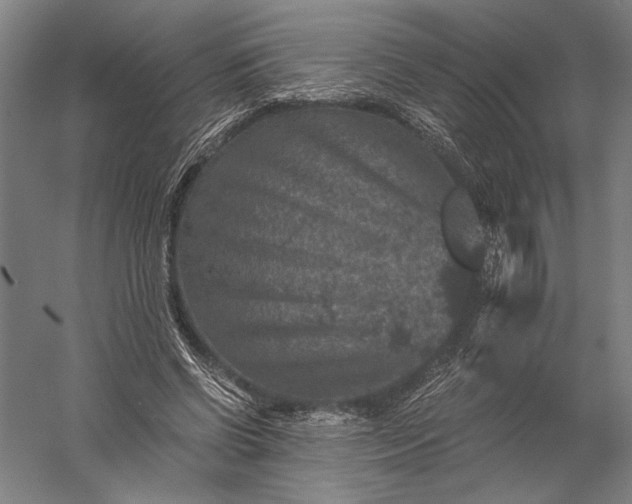 X0000056380542200509091718