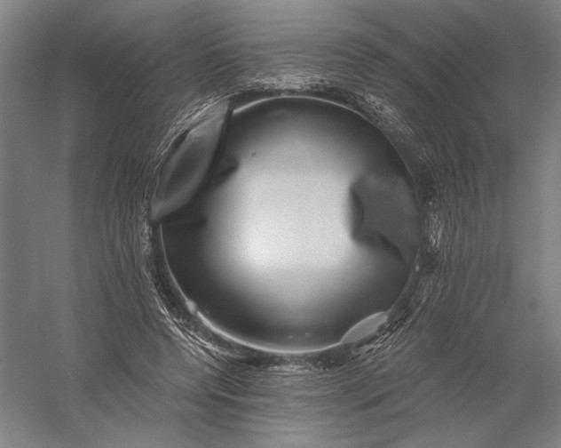 X0000056380544200509091718