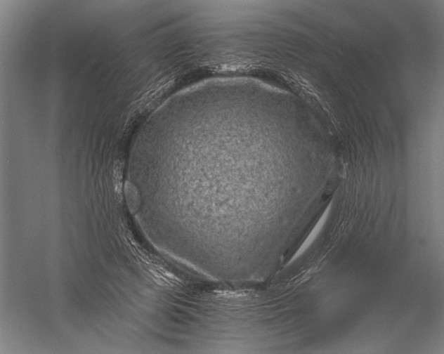 X0000056380545200509091718