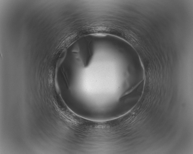 X0000056380546200509091718