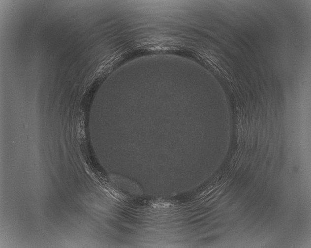 X0000056380547200509091718