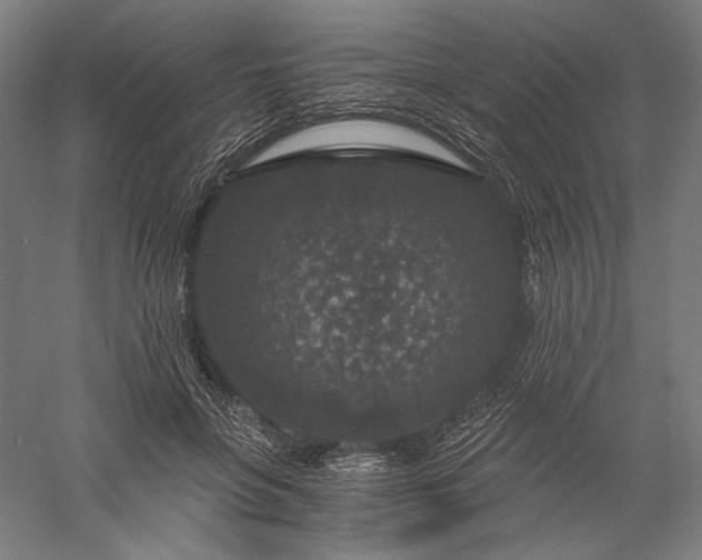 X0000056380551200509091718