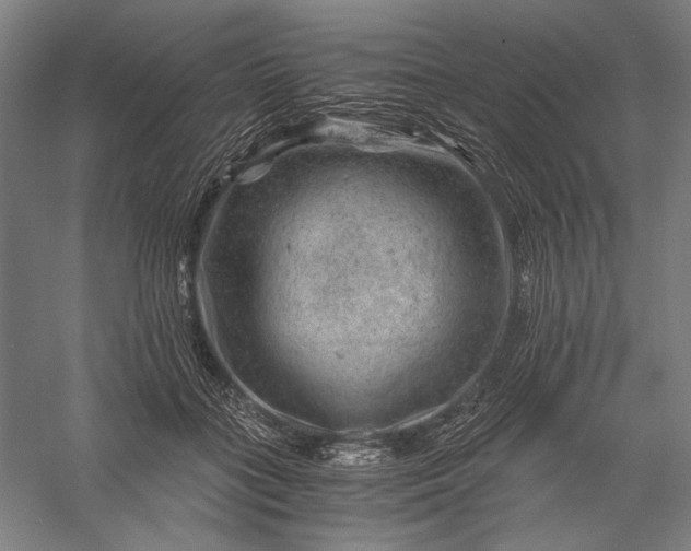 X0000056380555200509091718