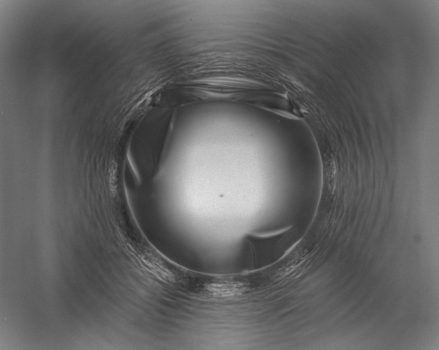 X0000056380556200509091718