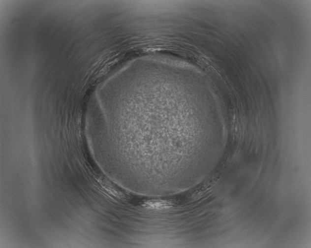 X0000056380557200509091718