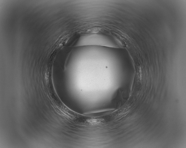 X0000056380558200509091718