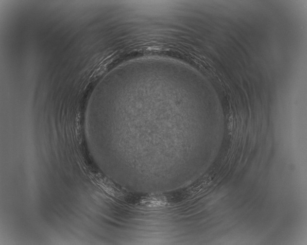 X0000056380559200509091718