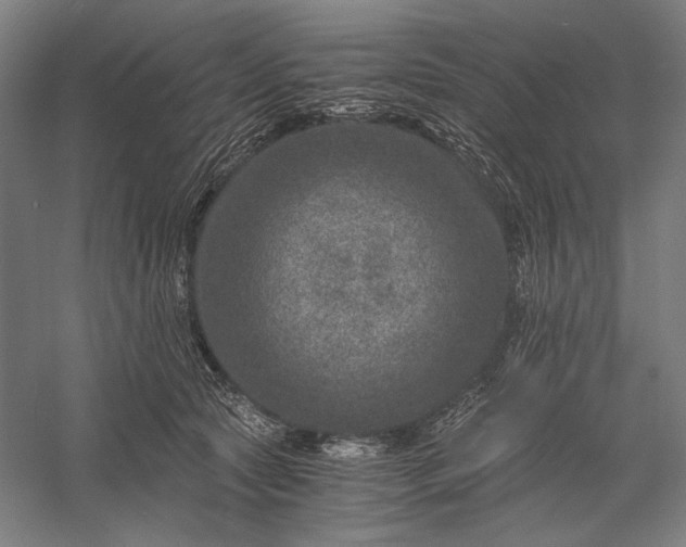 X0000056380561200509091718