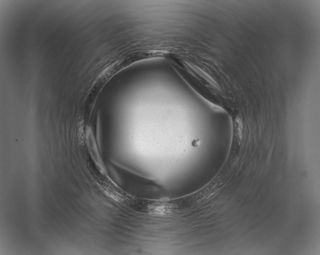 X0000056380564200509091718