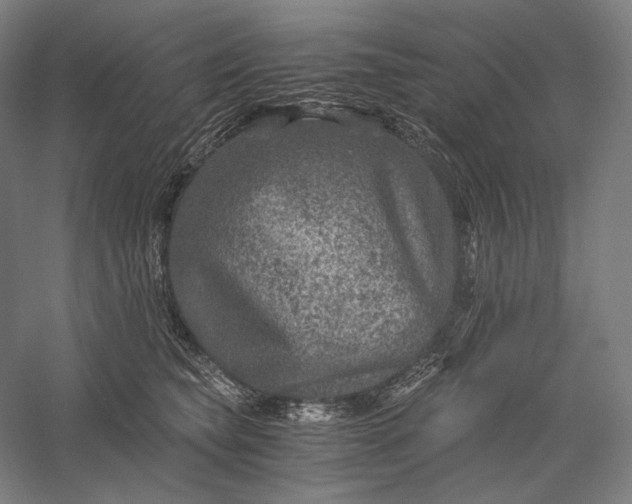 X0000056380565200509091718