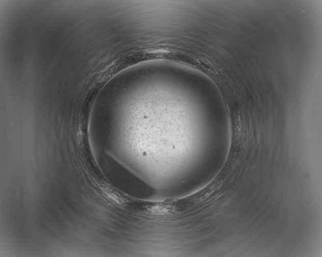 X0000056380566200509091718