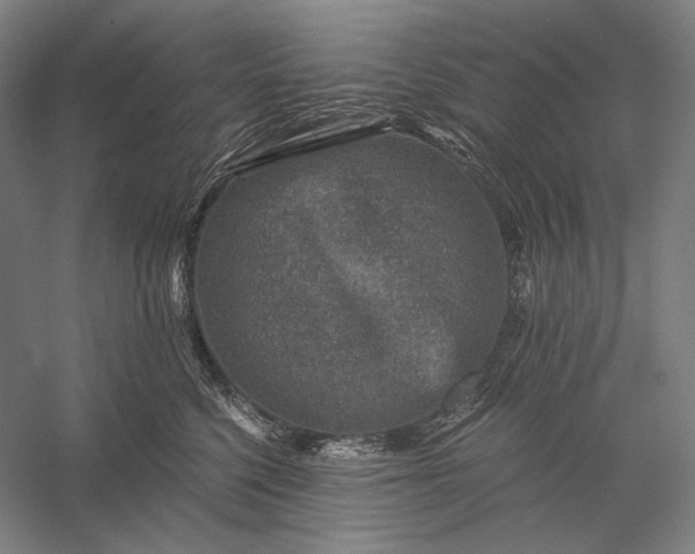 X0000056380568200509091718