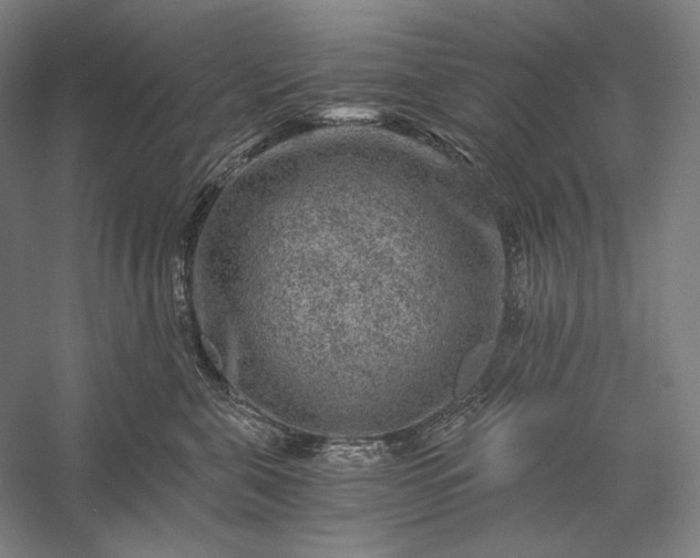 X0000056380571200509091718