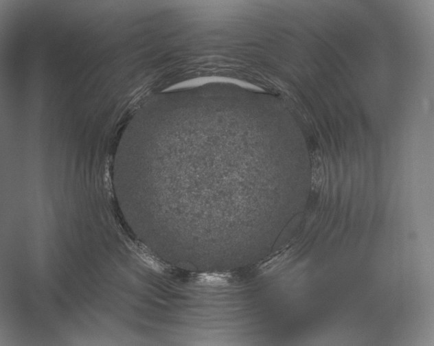 X0000056380573200509091718