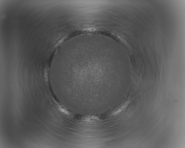 X0000056380576200509091718