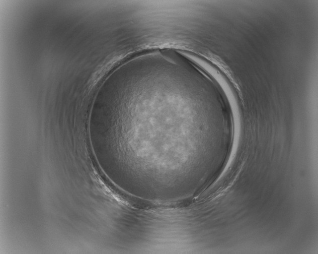 X0000056380577200509091717