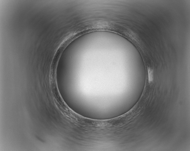 X0000056380579200509091717