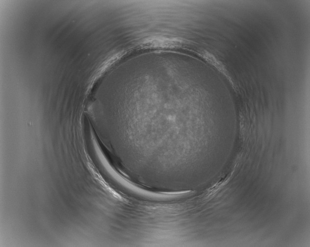 X0000056380581200509091717