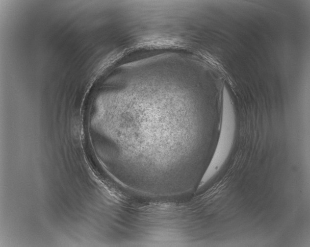 X0000056380582200509091717