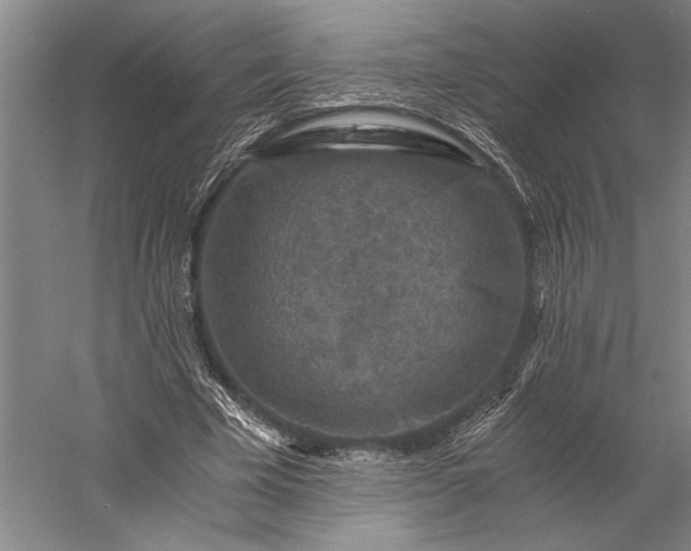 X0000056380585200509091717