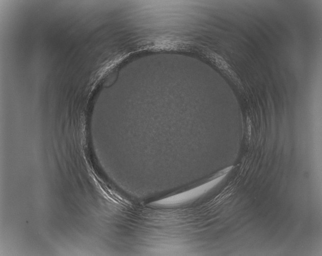 X0000056380588200509091717