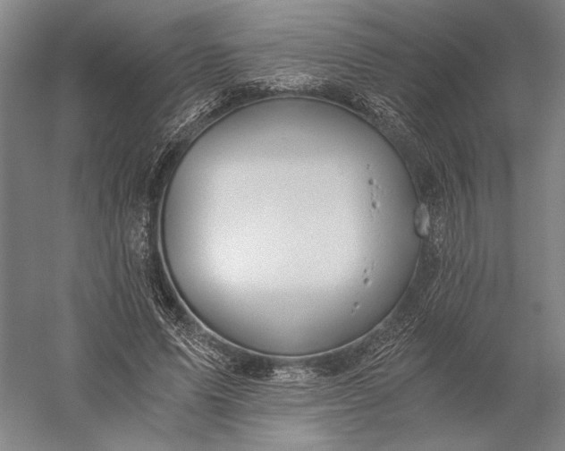 X0000056380591200509091717