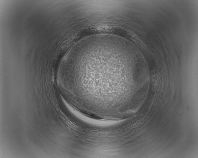 X0000056380593200509091717