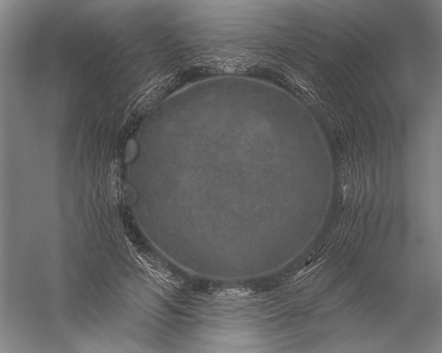 X0000056380594200509091717