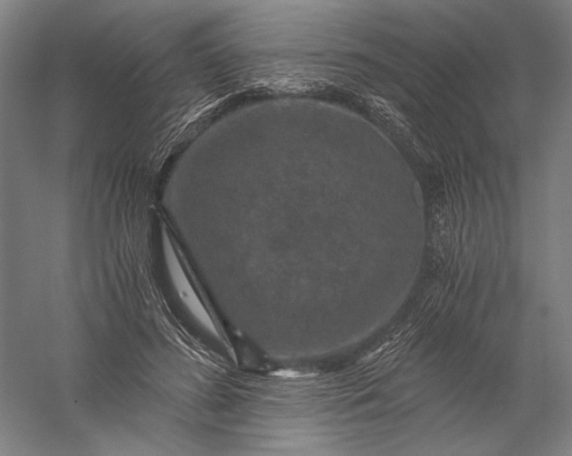 X0000056380596200509091717